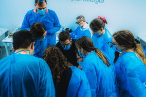 DSC07135_4538x3025_compressed